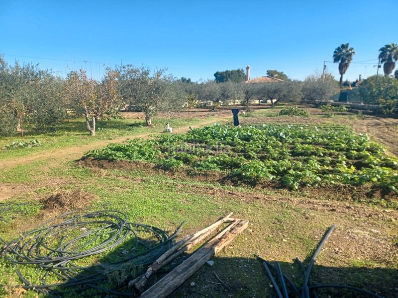 Foto a7128522-d0f1-4385-9f58-1b53cae0fe73. Casale con parcheggio piscina in Sanlúcar la Mayor