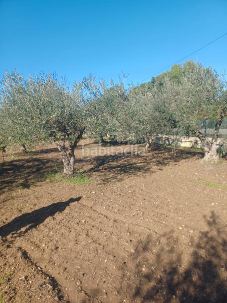 Foto 16ca5b62-5a35-469d-884f-c1ff16928647. House with parking pool in Sanlúcar la Mayor