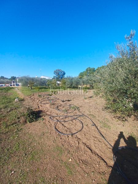 Foto 84f22861-c6ff-42a8-b95f-f63de76b8269. House with parking pool in Sanlúcar la Mayor