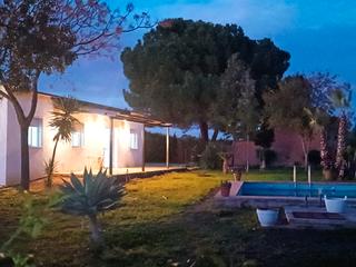 Mas  Calle velarde. Descubre tu oasis en el aljarafe sevillano!