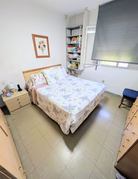 Foto 64917f6e-d5ac-462b-8b55-d1b082e383c8. Pis a La Oliva Sevilla