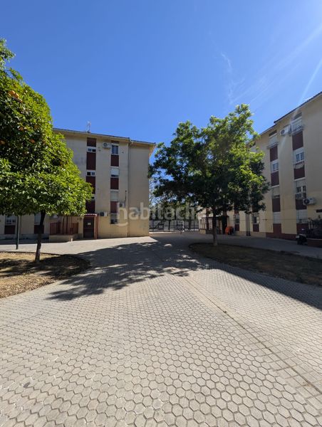 Foto a79a4d34-7412-404d-b4d4-29516cffb7f7. Pis a La Oliva Sevilla