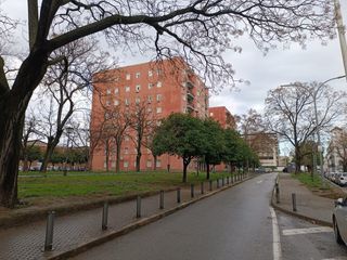 Pis a Avenida de las Razas