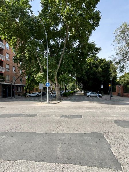 Foto 8a271613-22a5-483d-9057-12b6bc052625. Pis a Parque María Luisa -Giralda Sur Sevilla