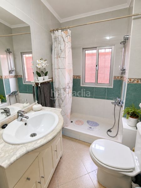 Foto 2d2ccbd2-6a71-4203-a3bb-7cd774dce97c. Pis a Palmete Sevilla