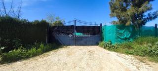 Finca rústica a Nueva Alcalá. Terrenos en venta en alcalá de guadaira