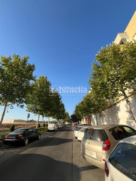 Foto c63cfe83-d06c-4f9b-bf07-3f02d2082c22. Appartamento in La Paz Alcalá de Guadaira