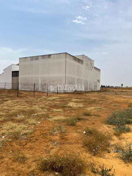 Foto 4a77c9f9-3d42-4c0a-94ea-08fc67ca6af6. Terreny residencial a Viso del Alcor (El)