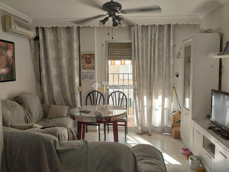 Foto 0110658e-2ce3-4a50-ae9a-81387ed03ff6. Pis a La Paz Alcalá de Guadaira