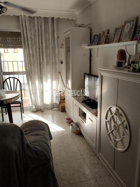 Foto 76bd92fe-72a8-4c7e-9be0-6ea1ca87f3a3. Pis a La Paz Alcalá de Guadaira