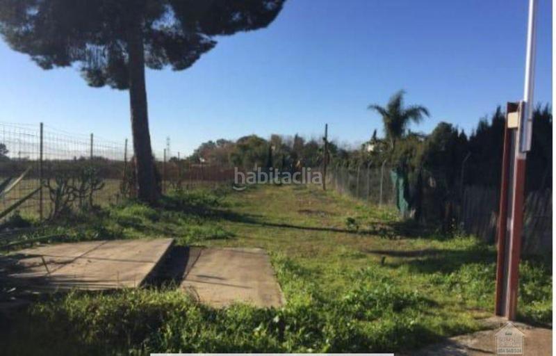 Foto 05df5505-7624-42e5-8468-c7fc8a607d50. Terreno residencial alcalá de guadaíraterreno en Oromana Alcalá de Guadaira