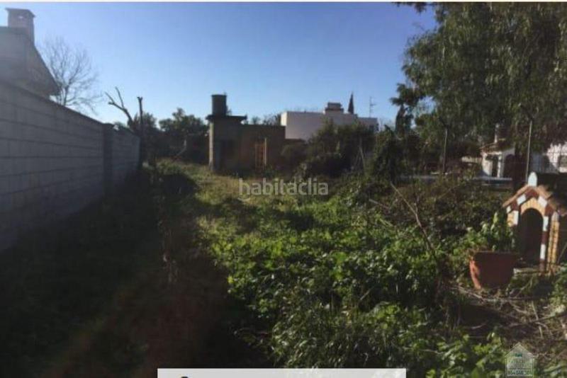 Foto 82e06c3d-437b-4b92-9b4a-6e582df6896a. Terreno residencial alcalá de guadaíraterreno en Oromana Alcalá de Guadaira