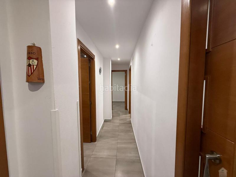 Foto 9f8a27c2-f539-4e7c-a593-d79f17ad6f49. Pis a San Pablo Sevilla