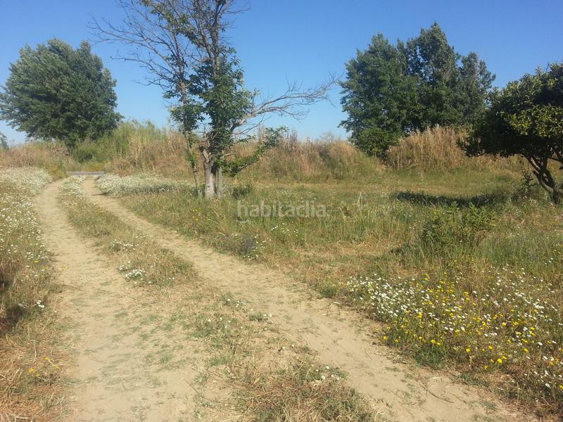 Foto 156976a8-c4b1-4ae1-be46-21a399901349. Finca rústica a Rociana del Condado