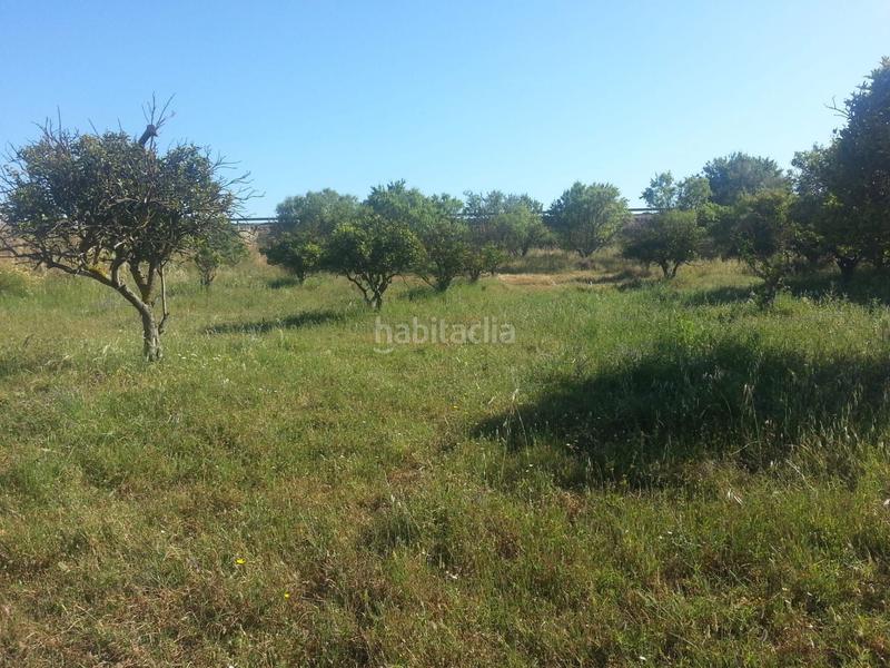 Foto 7232d1c4-7d18-4f3f-91fd-db3601fa2868. Finca rústica a Rociana del Condado