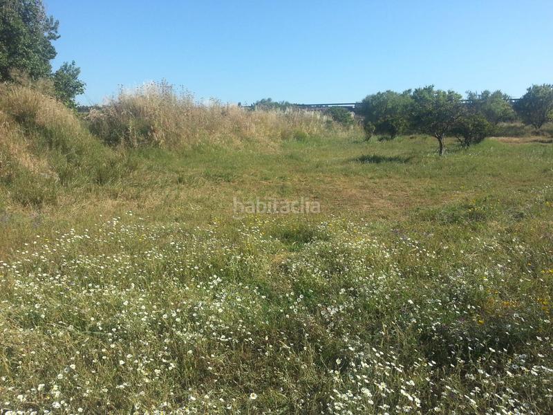 Foto 88d914c4-c02a-448c-8a2d-06745f959694. Finca rústica a Rociana del Condado