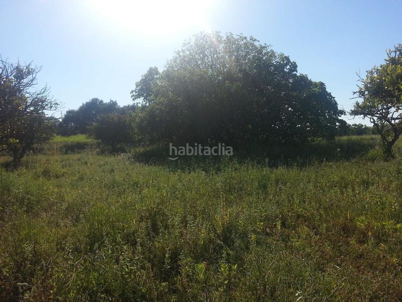 Foto aaa32c00-4fc8-437b-aad2-282147dcc2e0. Finca rústica a Rociana del Condado