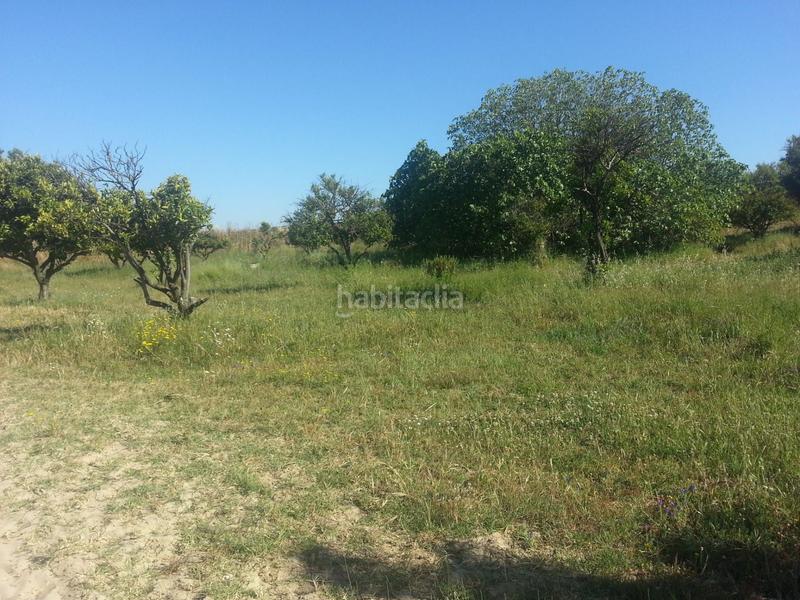 Foto c06d546f-2119-43cf-a46b-ffba47b0ebc2. Finca rústica a Rociana del Condado