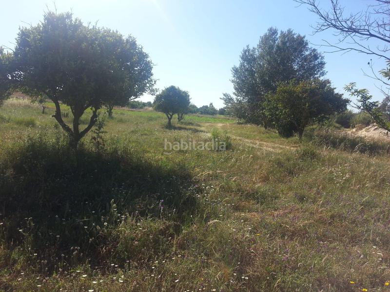 Foto d6596204-ab35-44bf-9992-67bfbc7a9d45. Finca rústica a Rociana del Condado