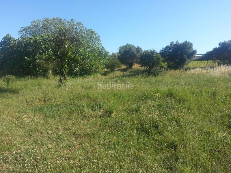 Foto f6a45a0e-7a23-4c35-8593-d7c0a02b8841. Finca rústica a Rociana del Condado