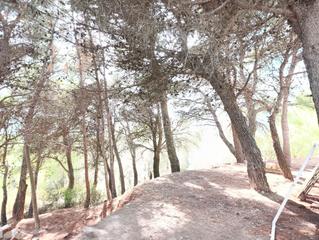 Bauernhof  Carretera alozaina. Finca rústica con vistas panorámicas en plena sierra de las niev