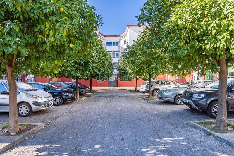 Foto a7de1f6b-6bdc-4a28-8384-1868ffc30e95. Piso atención inversores y familias! en Tiro de Línea Sevilla