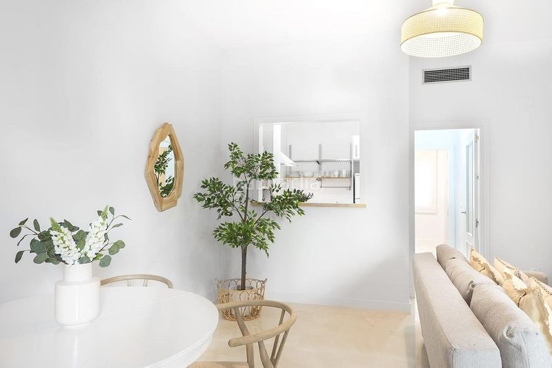 Foto abd0a3ef-0aca-4cb0-9857-d267fa1ecb56. Piso en San Vicente Sevilla