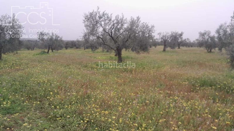 Foto 4ff7e090-61fa-4c43-8b7b-12a7a35ef439. Finca rústica a Almonte Almonte