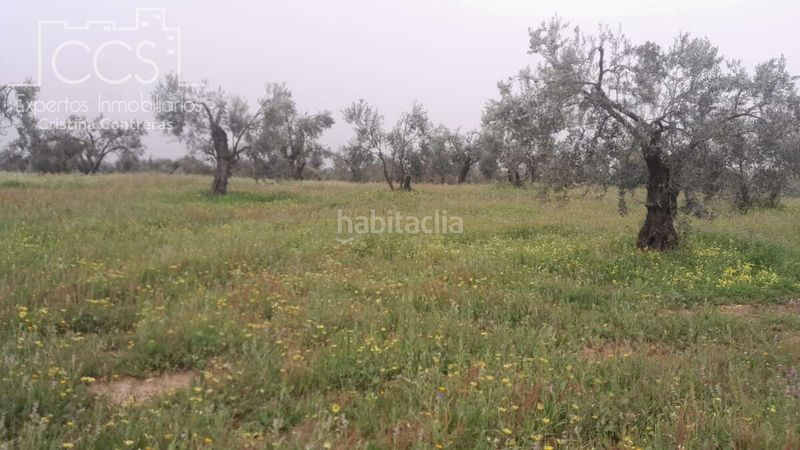 Foto 9c450afe-9126-45a2-a3cb-80d6625cee7c. Finca rústica a Almonte Almonte