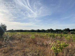 Landgut in Almonte. Venta de finca en propiedad de 35.611 m2 de terreno, en almonte.