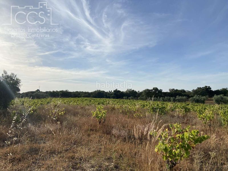 Foto 401e415f-2391-4223-af88-b21e87e40d6b. Finca rústica a Almonte Almonte