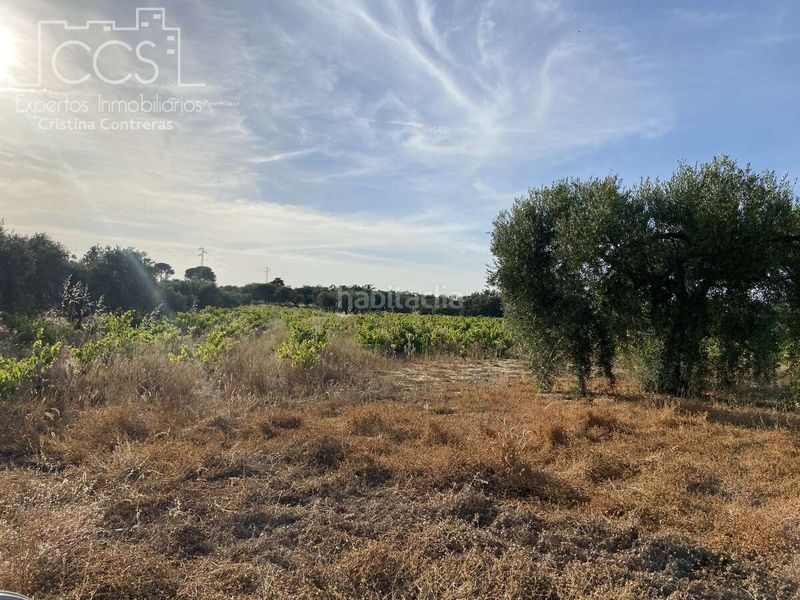 Foto d44b0334-ba0f-4dfb-b9b8-8eafc12ec759. Finca rústica a Almonte Almonte
