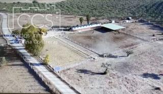 Masia a Sanlúcar la Mayor. Venta de finca de 63.285 m2 ideal para ganado en sanlúcar la may