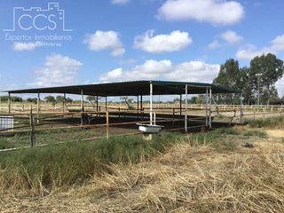 Country house in Sanlúcar la Mayor. Venta de finca de 63.285 m2 ideal para ganado en sanlúcar la may