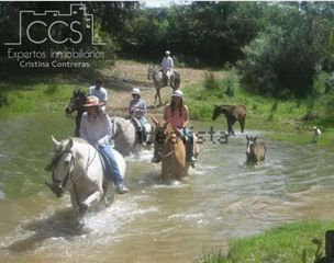 Mas à Sanlúcar la Mayor. Venta de finca rústica de 63.285 m con instalaciones ecuestres e