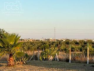 Masía en Almonte. Venta de finca  en propiedad, con 16.927m2 de terreno , una vivi