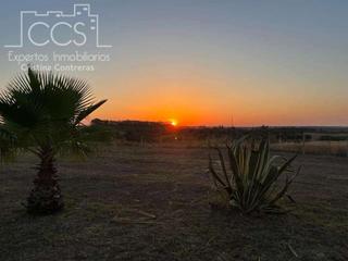 Mas à Almonte. Venta de finca  en propiedad, con 16.927m2 de terreno y con una