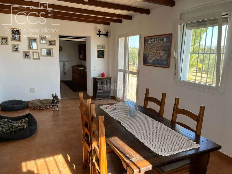 Foto 244590ef-ce40-4d50-a122-d886c03752e8. Masía venta de finca en propiedad, con 16.927m2 de terreno y con una construcción de 128m2 construidos, catalogada como vivienda en alm en Almonte