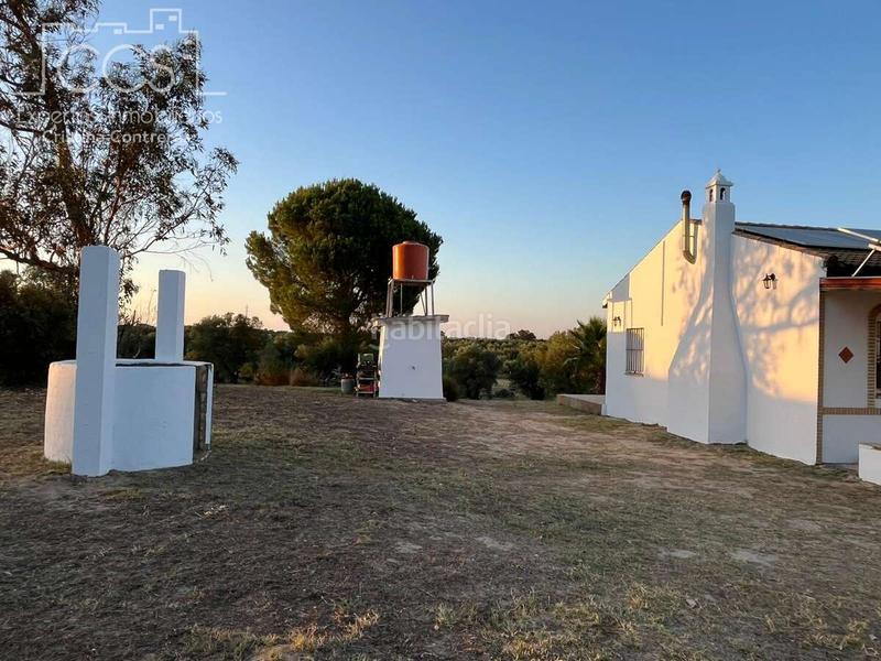 Foto 44c8388e-b160-4602-80cc-ea9eb969026a. Masía venta de finca en propiedad, con 16.927m2 de terreno y con una construcción de 128m2 construidos, catalogada como vivienda en alm en Almonte