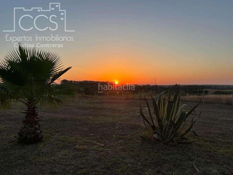 Foto 64a8df2a-3147-40bc-ac42-5fd0ab109e02. Masía venta de finca en propiedad, con 16.927m2 de terreno y con una construcción de 128m2 construidos, catalogada como vivienda en alm en Almonte