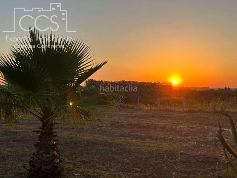 Foto 68bb76a0-ca6c-49cd-8f1f-c40fd5dc8d9d. Masía venta de finca en propiedad, con 16.927m2 de terreno y con una construcción de 128m2 construidos, catalogada como vivienda en alm en Almonte