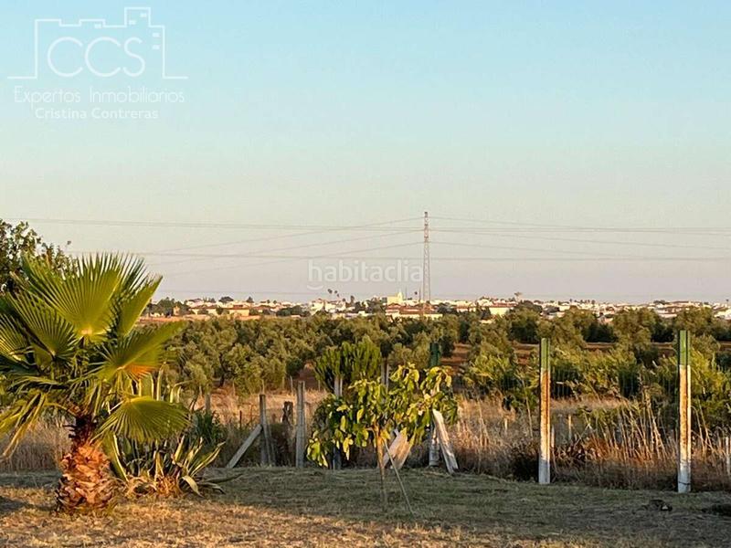 Foto 9f9d9d1c-70d8-4471-93a4-cf7711551ffd. Masía venta de finca en propiedad, con 16.927m2 de terreno y con una construcción de 128m2 construidos, catalogada como vivienda en alm en Almonte