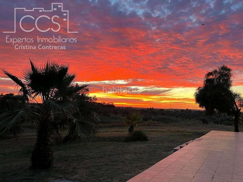 Foto b4b817d7-e2a0-41fc-9e57-1d2ec3d45e0a. Masía venta de finca en propiedad, con 16.927m2 de terreno y con una construcción de 128m2 construidos, catalogada como vivienda en alm en Almonte