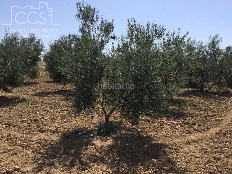 Foto fe19f0f4-04af-4d68-89b5-0d318d044585. Finca rústica a Almonte Almonte