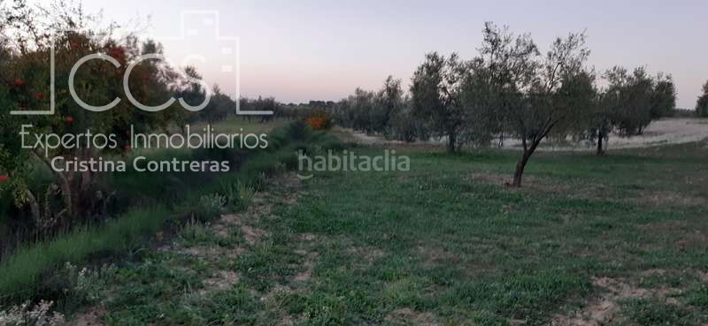 Foto 973d6366-ff42-4067-a58c-74163a5760d7. Finca rústica a Almonte Almonte