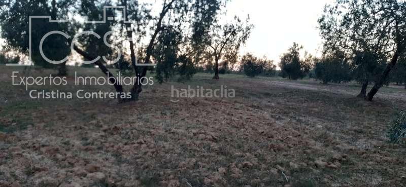 Foto 2368d3d1-60d7-4974-88f4-6831d0416627. Finca rústica a Almonte Almonte