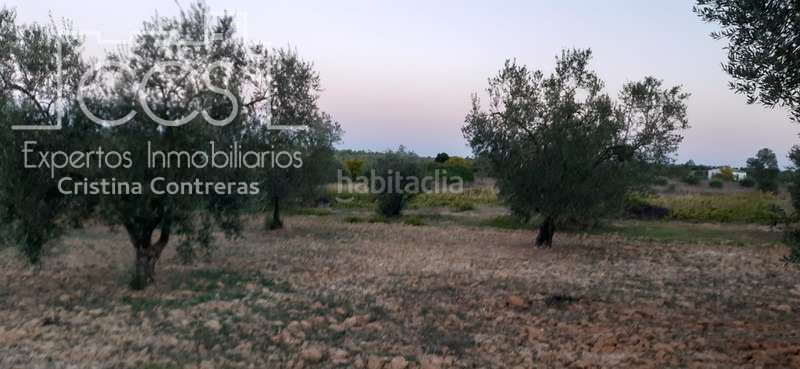 Foto 258627fb-005e-48a8-ac94-a1cca1c05209. Finca rústica a Almonte Almonte