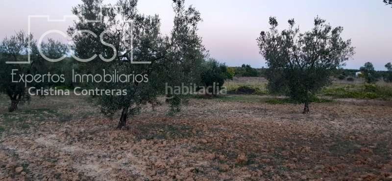 Foto 35660ce0-f924-4f77-974a-5d37415c090d. Landgut in Almonte Almonte