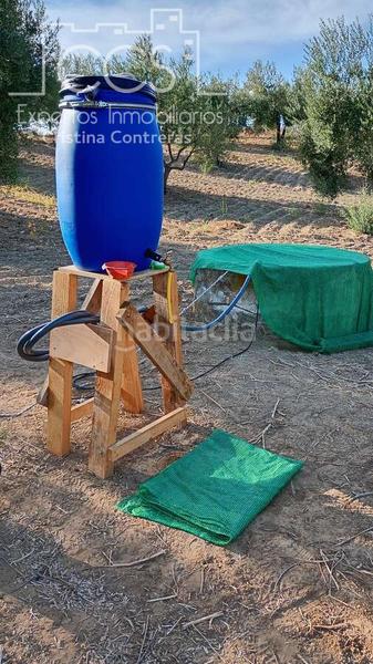 Foto 544aed37-d7cd-4d24-a7a5-f3b2a2c6335e. Landgut in Almonte Almonte