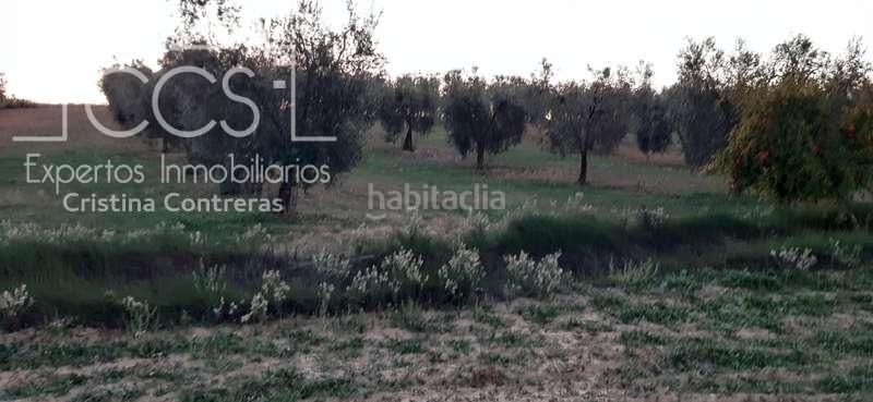 Foto 55e7dd27-d6f8-4fc8-9577-5c27d2916c32. Landgut in Almonte Almonte